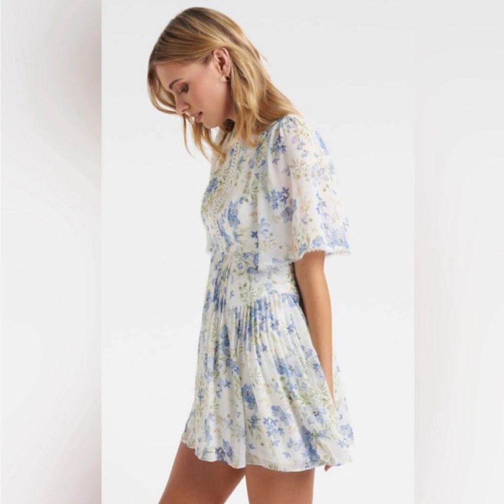 NWOT Size 6 Ever New Jade Angel sleeve Mini skater dress